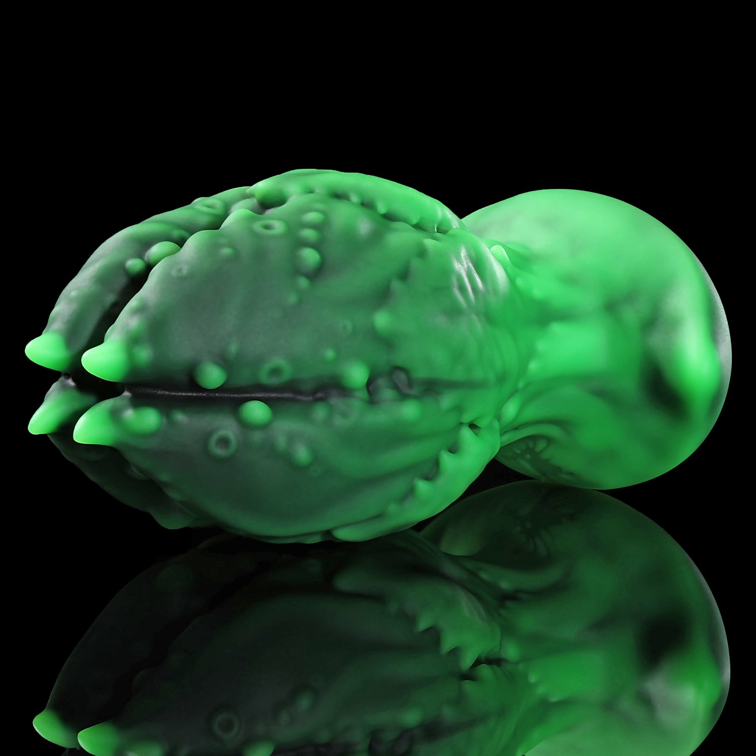 【탐식 애널 플러그】KoX Plug