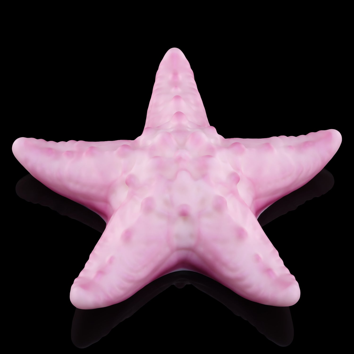 【스타터치】STAR TOUCH 클리 자극