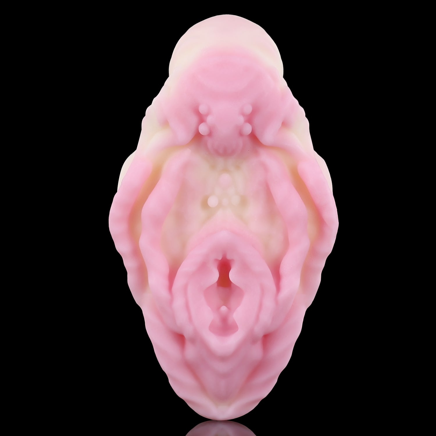 【사키코】FLORA 고체 방향제