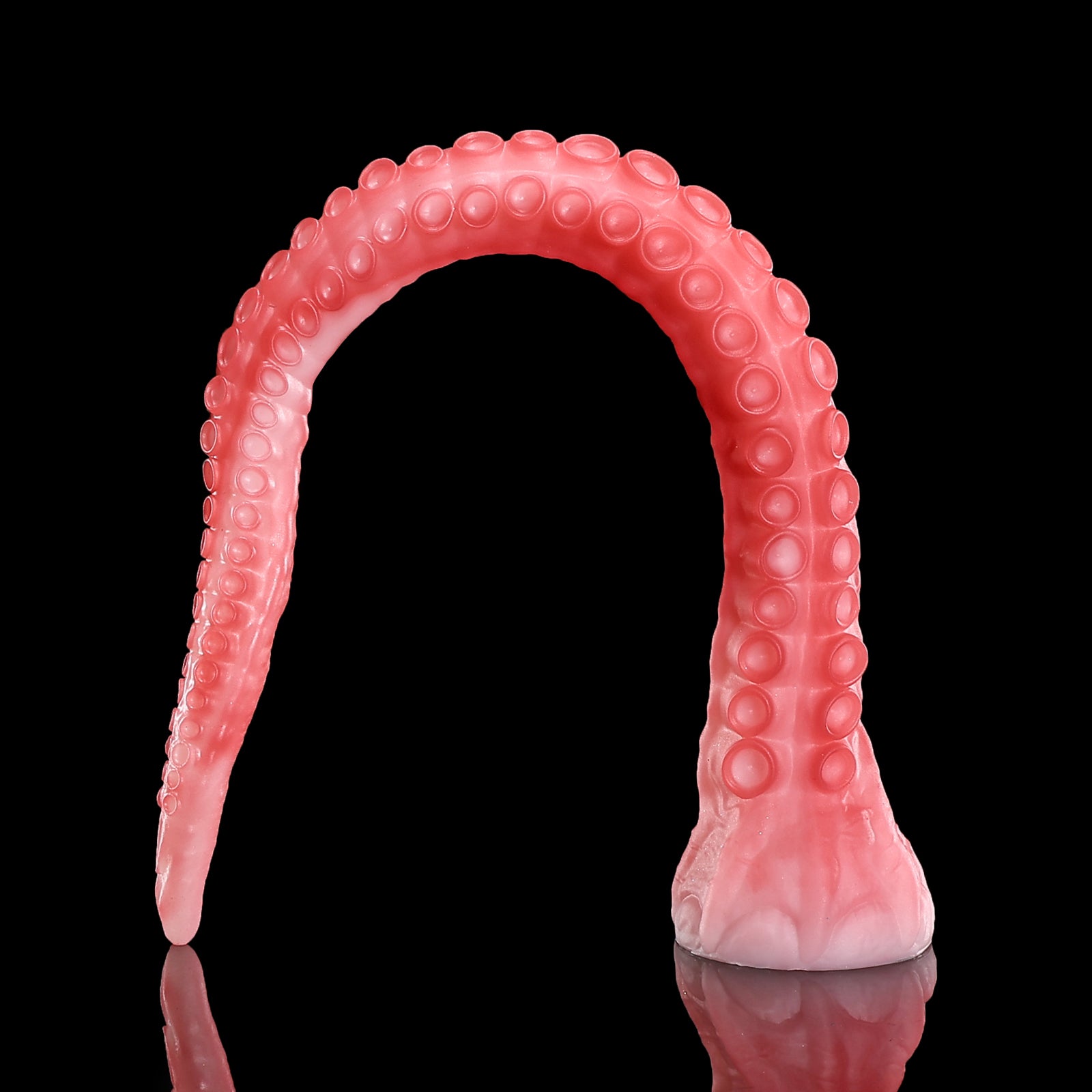 170 【알라】ALLA - S