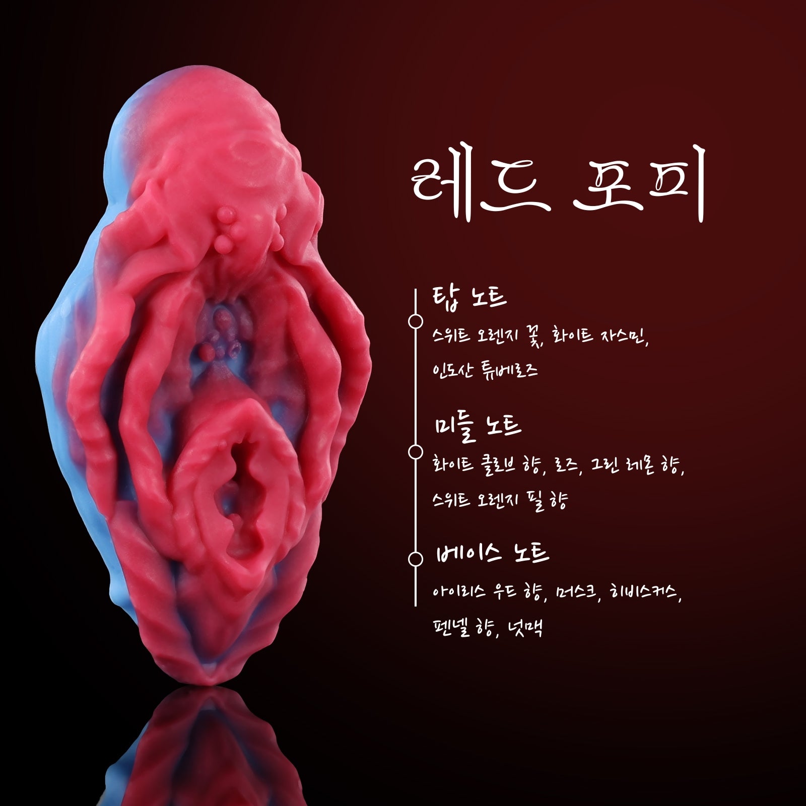 【사키코】FLORA 고체 방향제