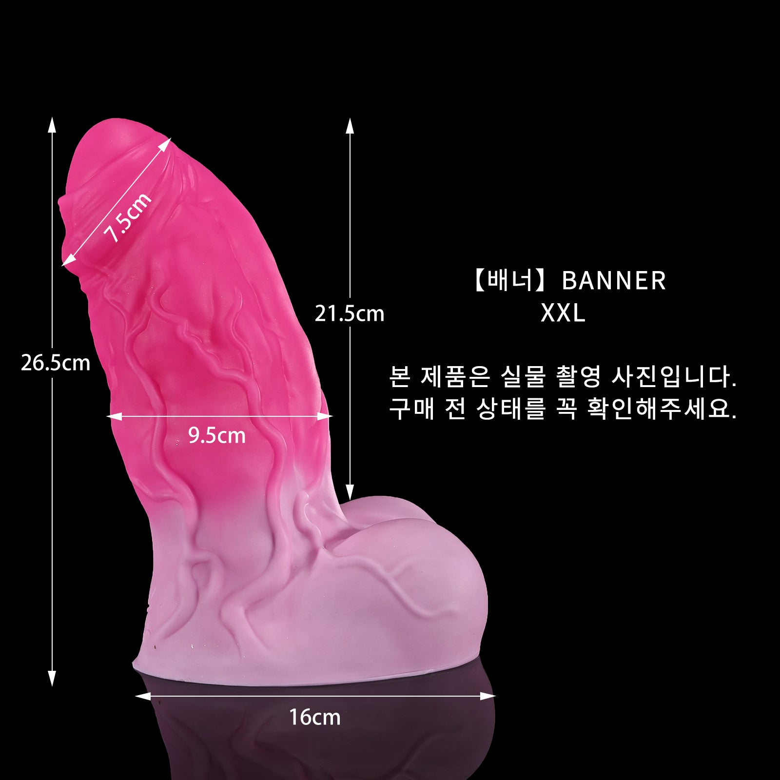 42 【배너】BANNER - XXL