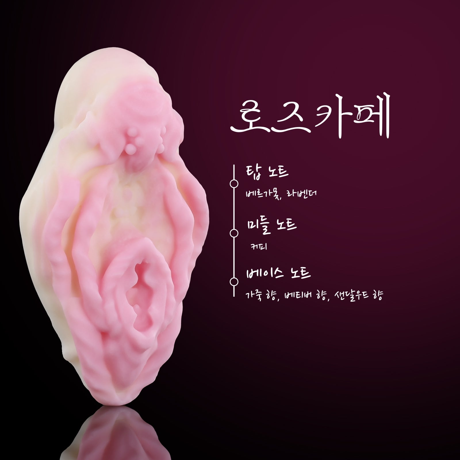 【사키코】FLORA 고체 방향제
