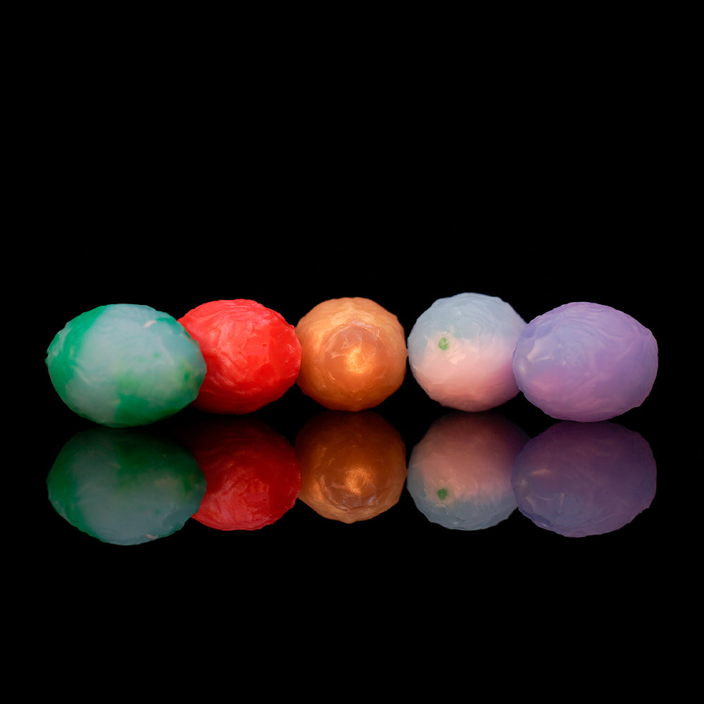 【수정란】OGG 애널 비즈