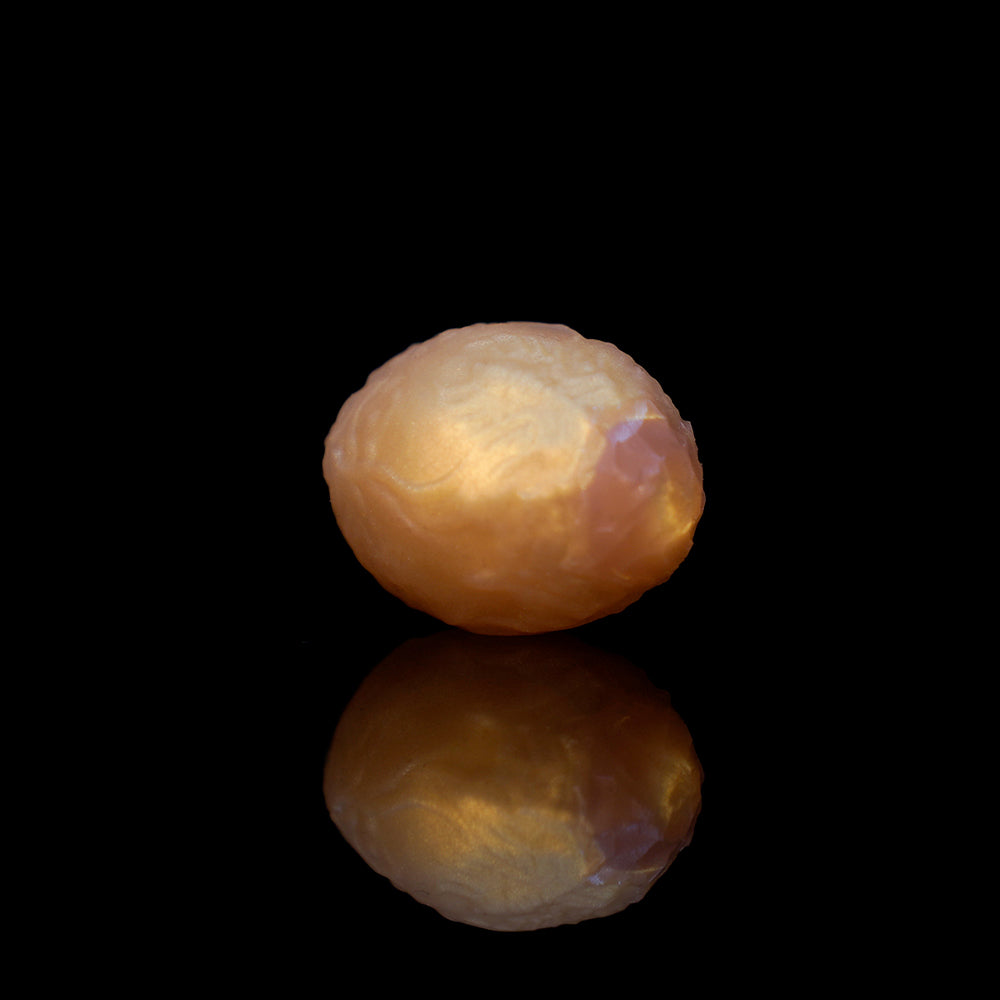 【수정란】OGG 애널 비즈