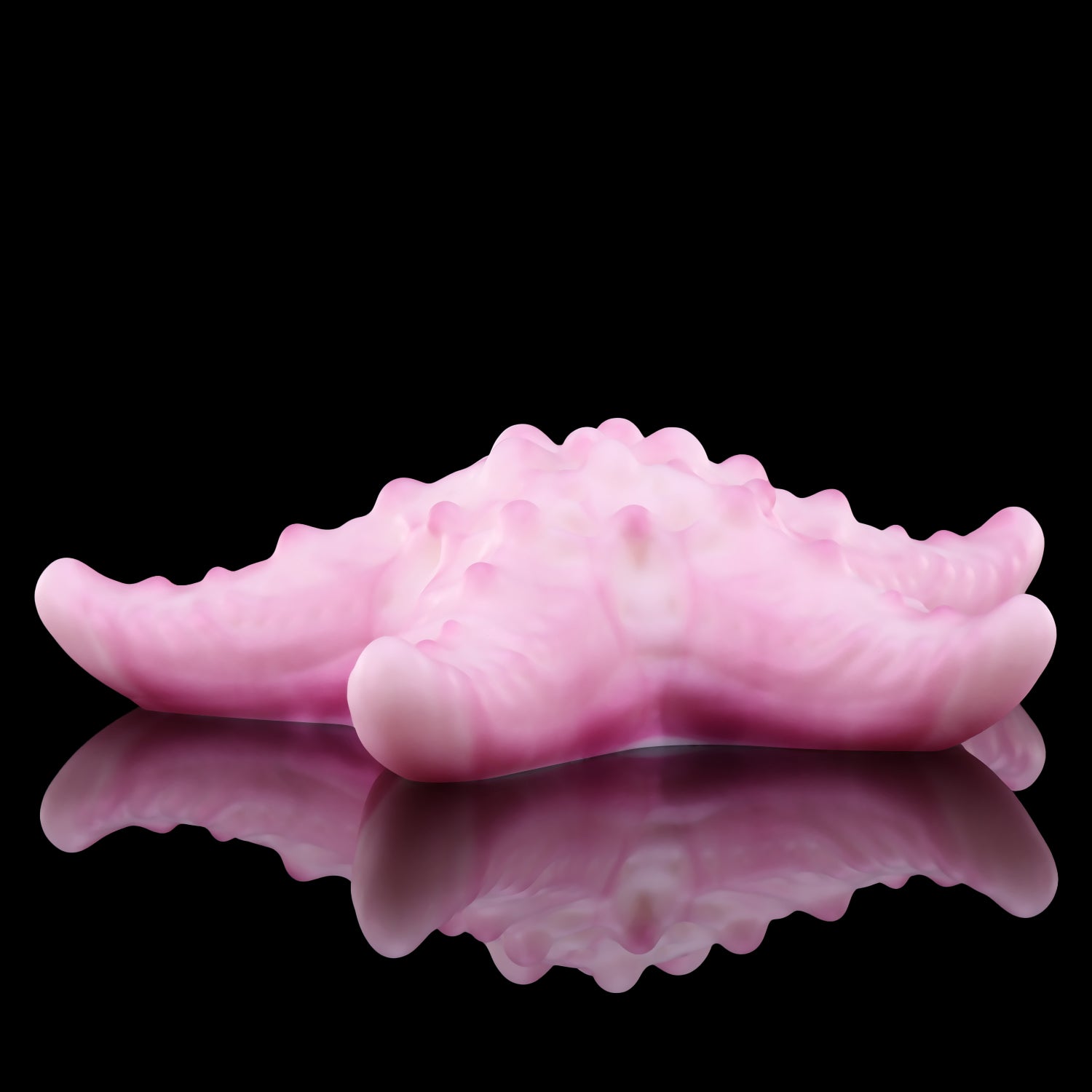 【스타터치】STAR TOUCH 클리 자극