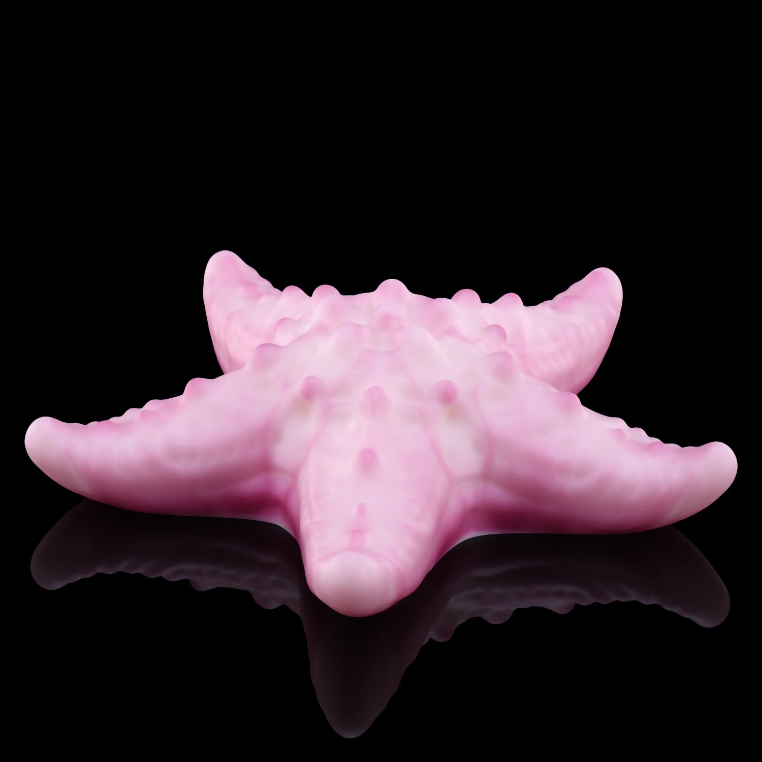 【스타터치】STAR TOUCH 클리 자극