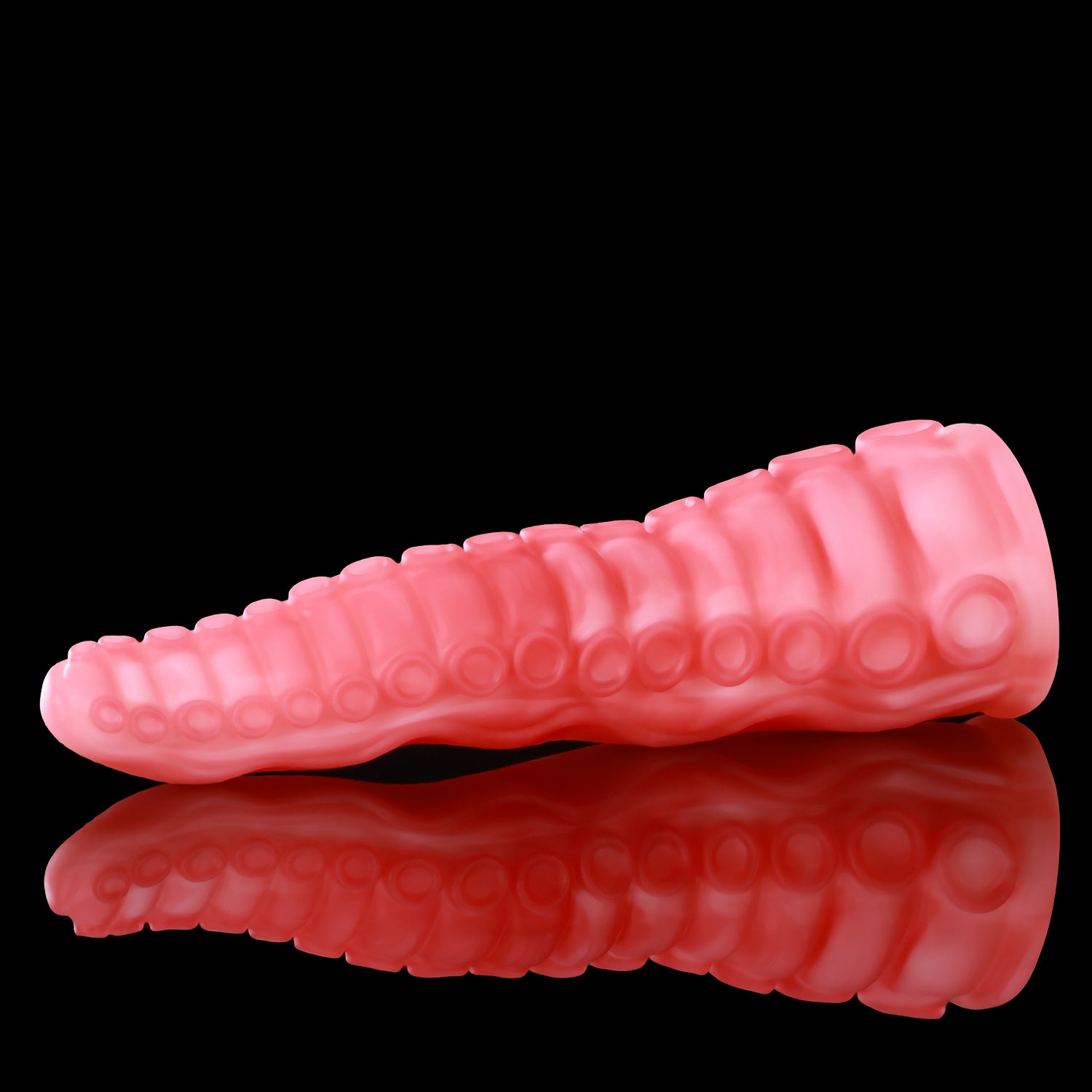 【알라의 핑거】ALLA'S TENTACLE 핑커돔