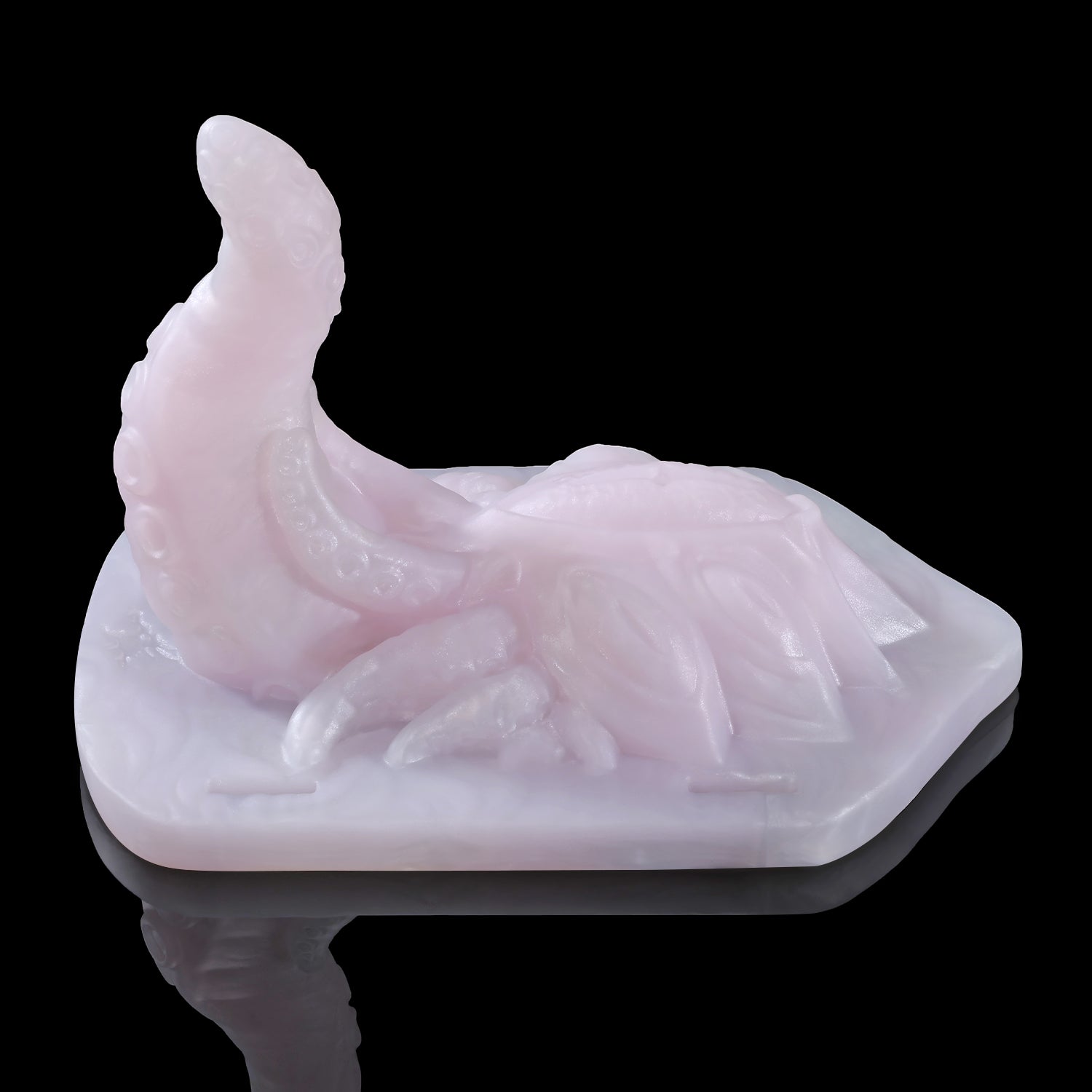 【알라의 시선】ALLA'S GAZE