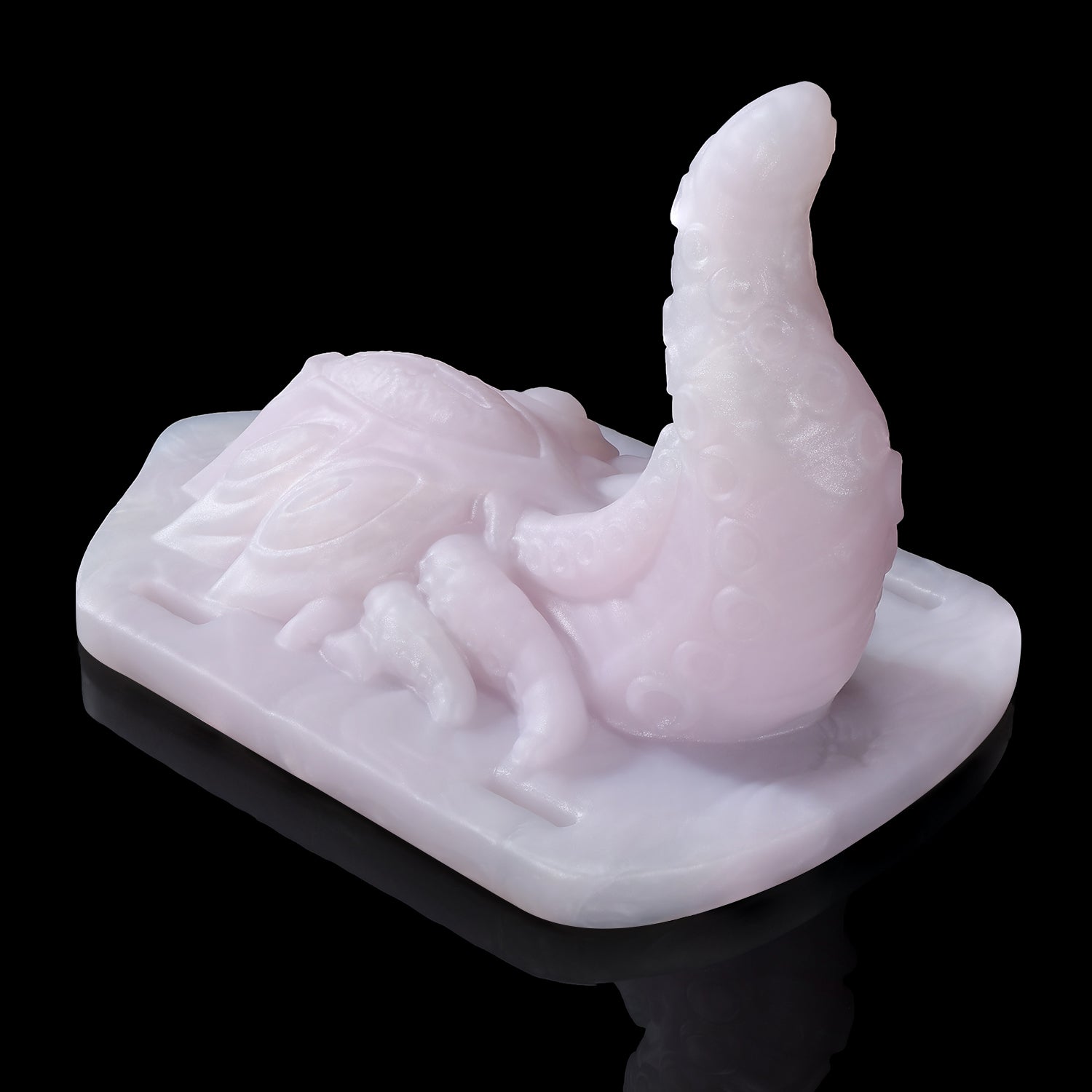 【알라의 시선】ALLA'S GAZE