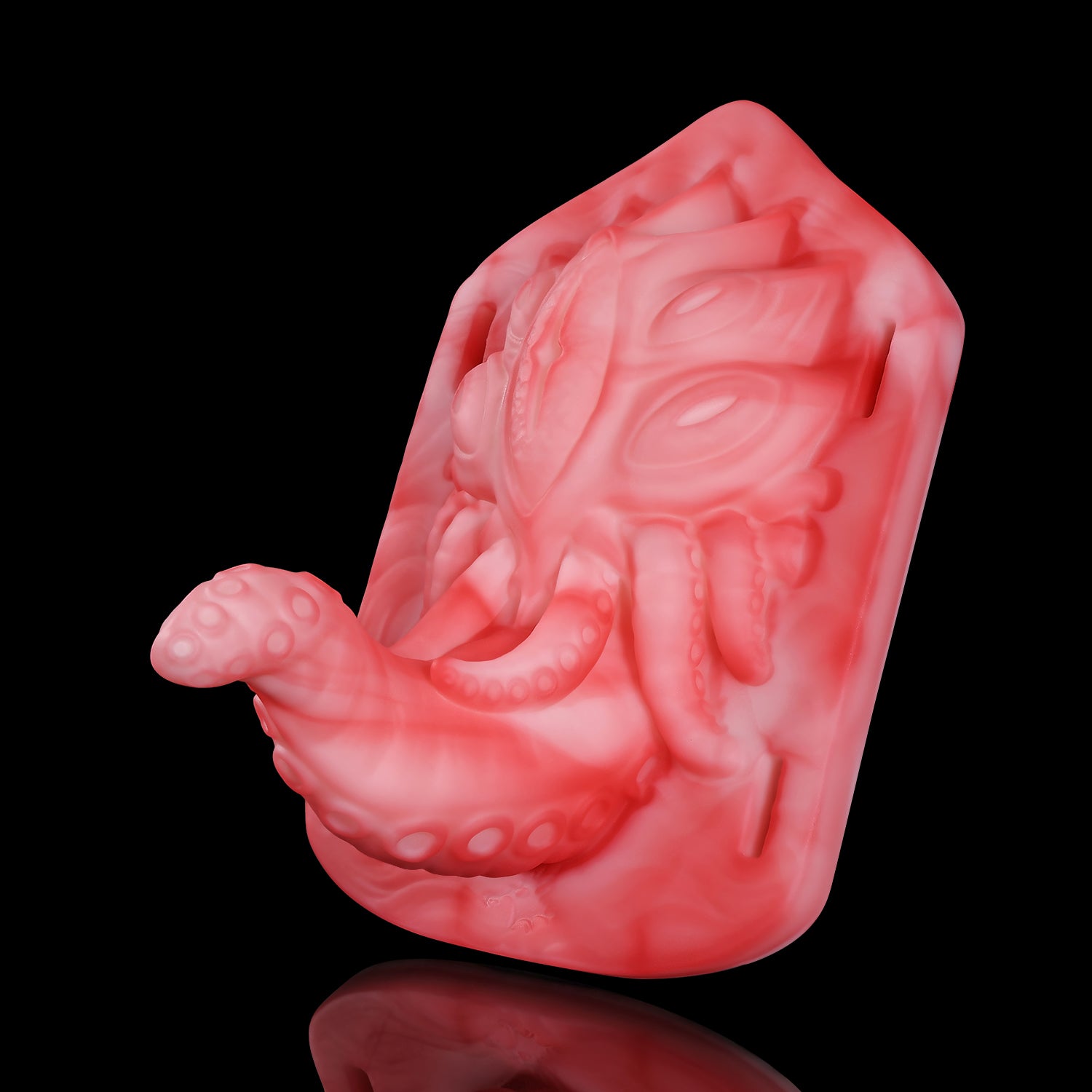 【알라의 시선】ALLA'S GAZE