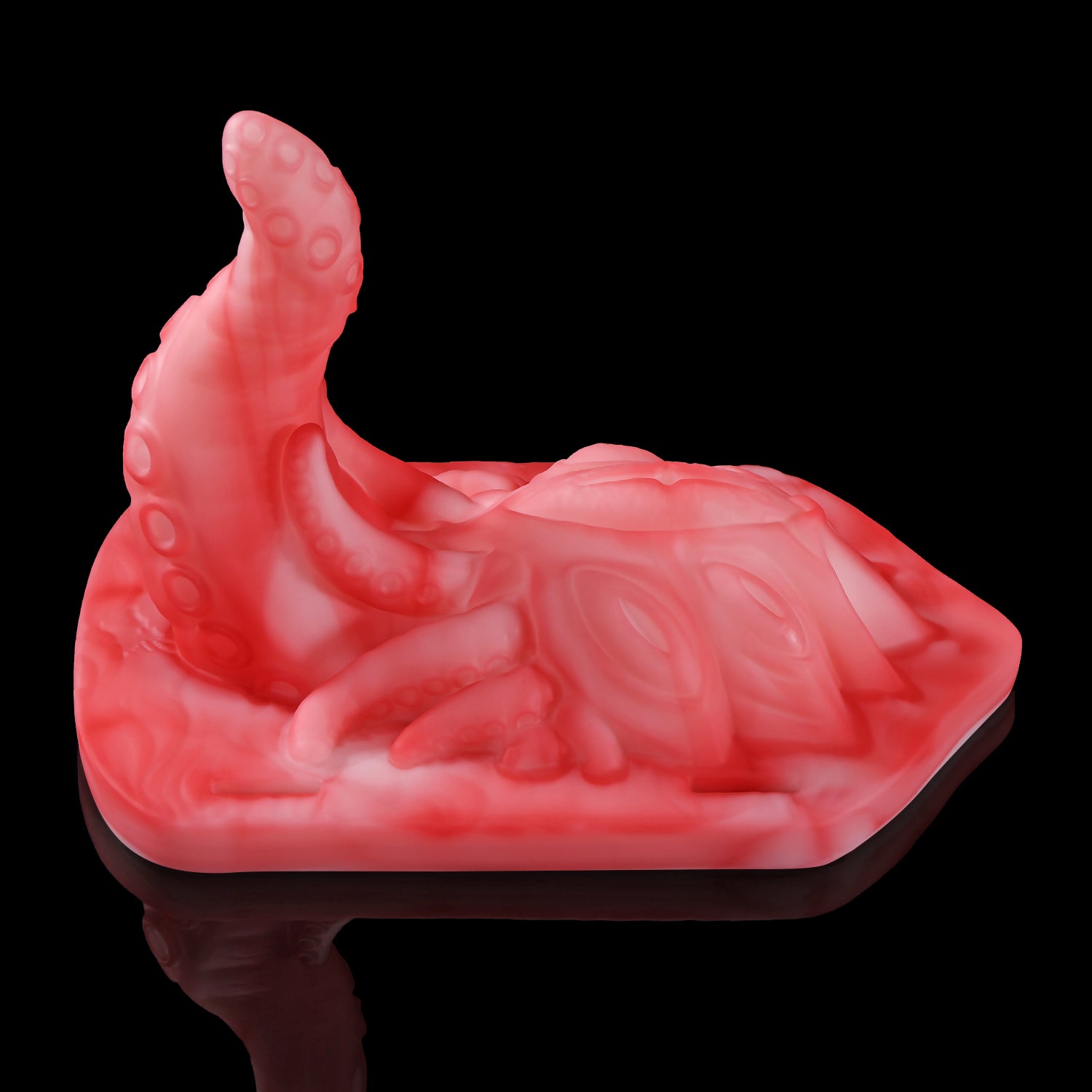 【알라의 시선】ALLA'S GAZE