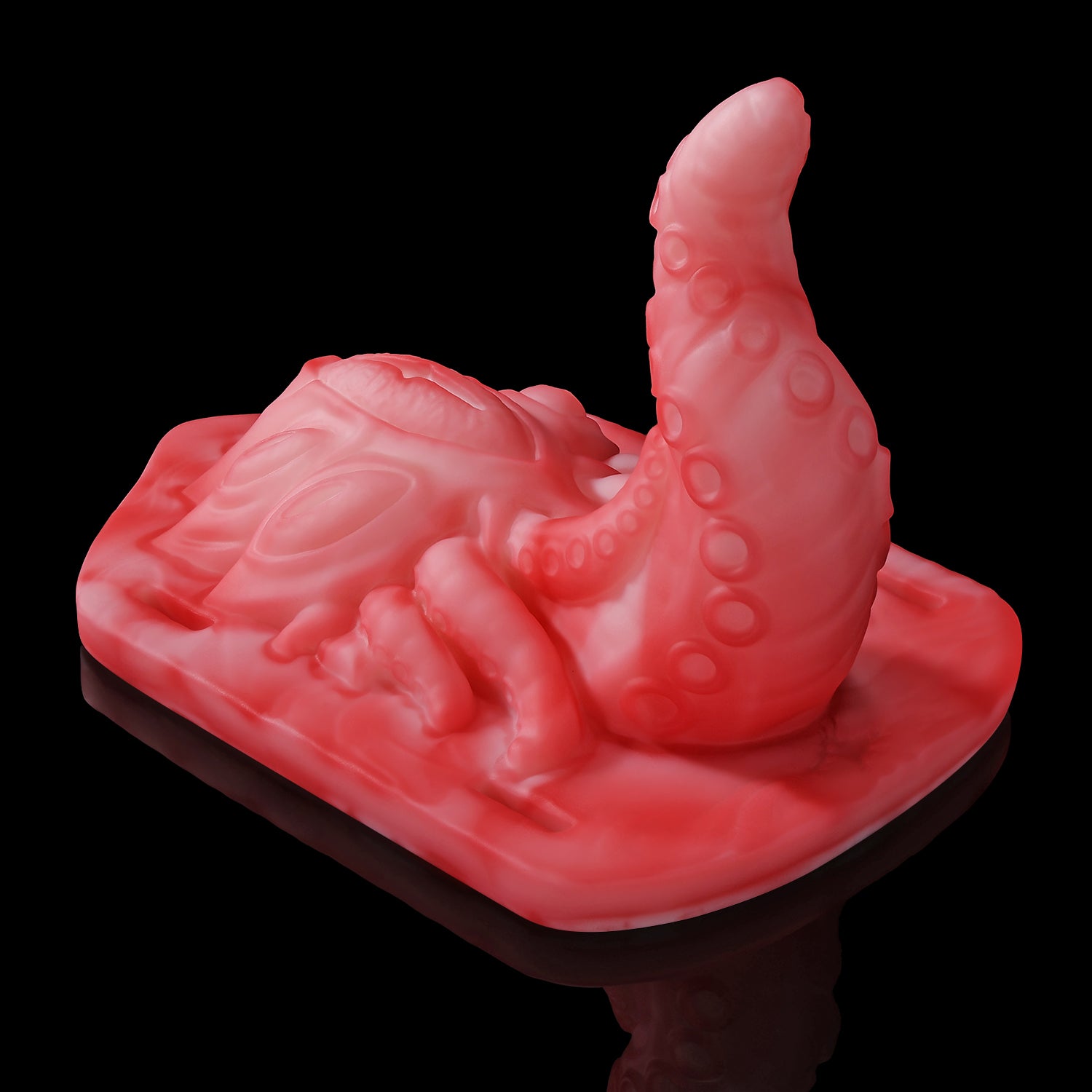 【알라의 시선】ALLA'S GAZE