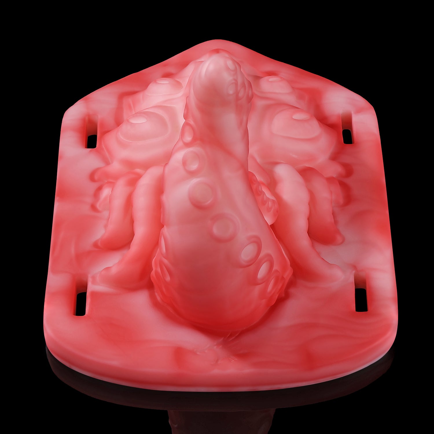 【알라의 시선】ALLA'S GAZE