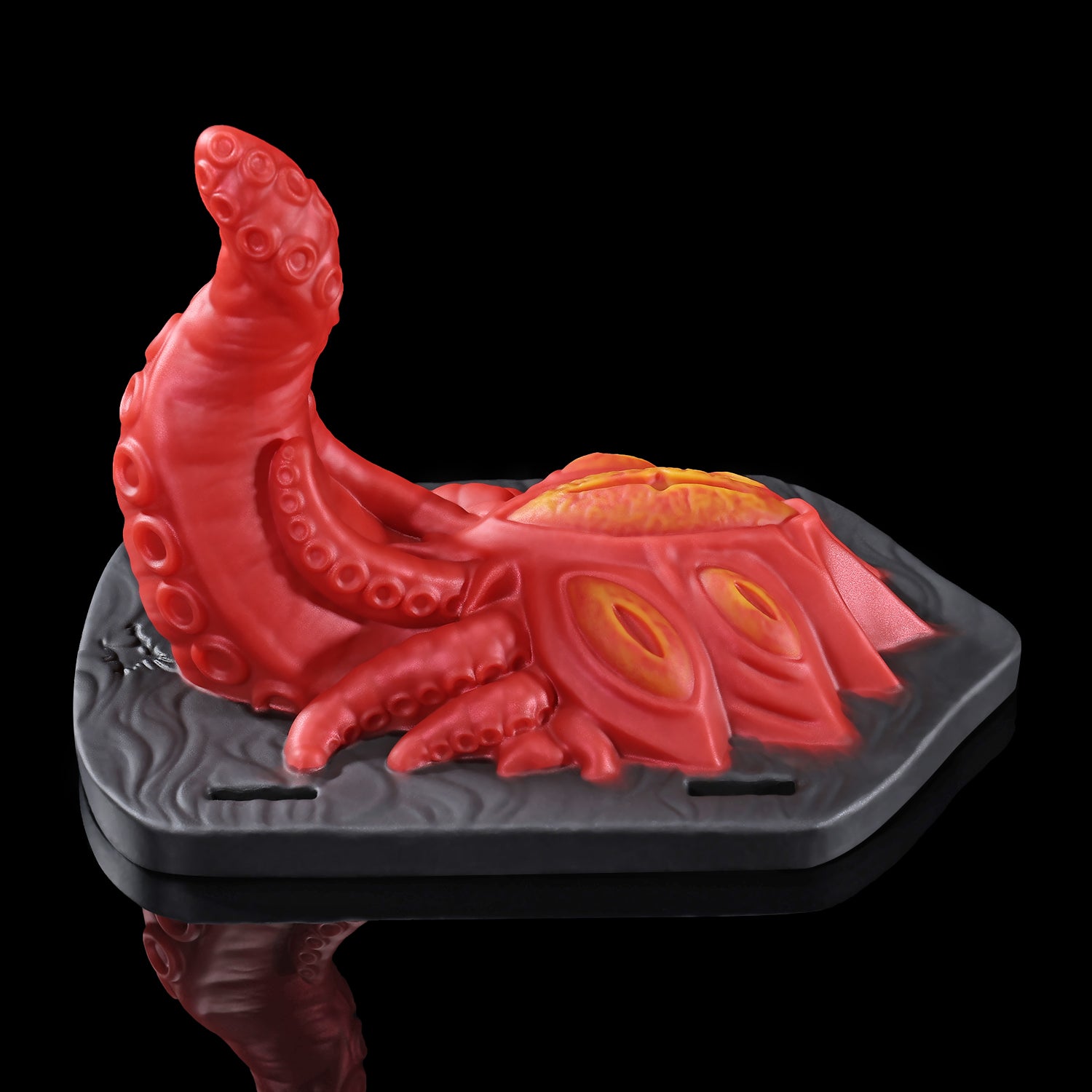 【알라의 시선】ALLA'S GAZE