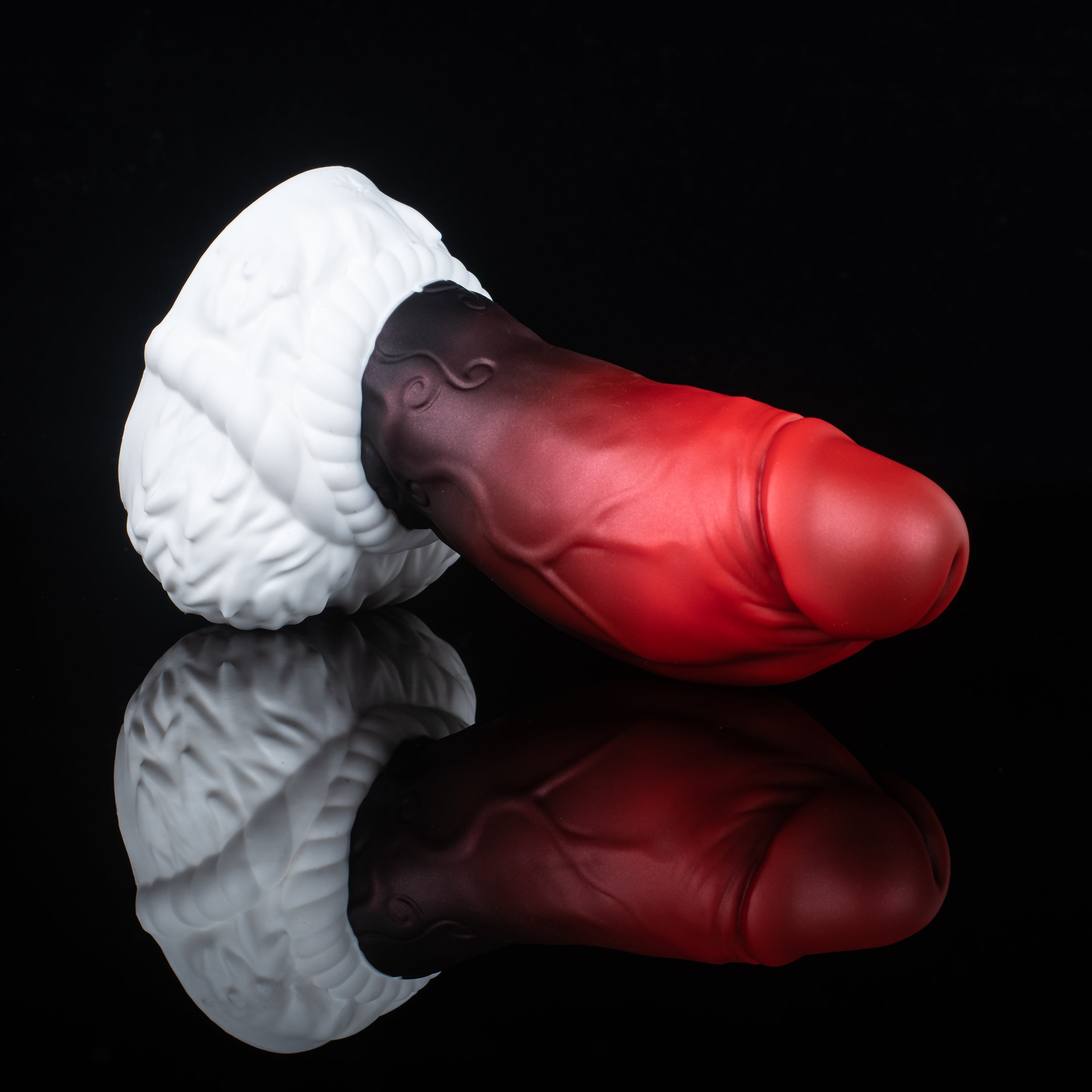 【陳·판다주선 컴튜브】STORMSTOUT-CUM TUBE