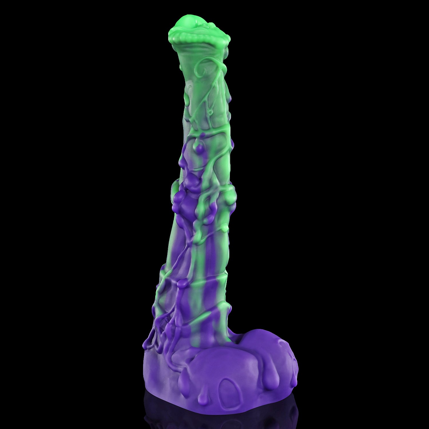 【베일러】Veylor