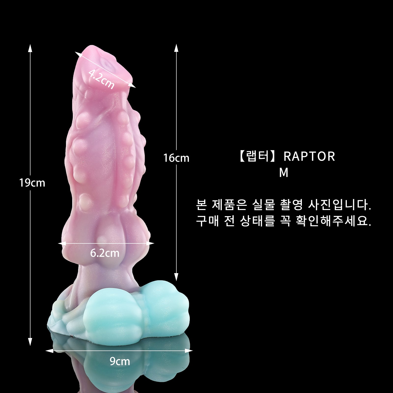 128 【랩터】RAPTOR - M