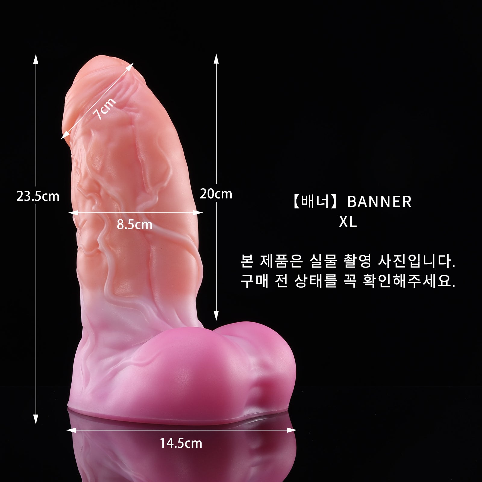 47 【배너】BANNER - XL