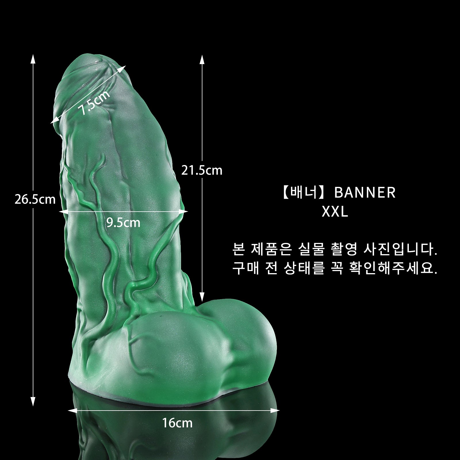 160 【배너】BANNER - XXL