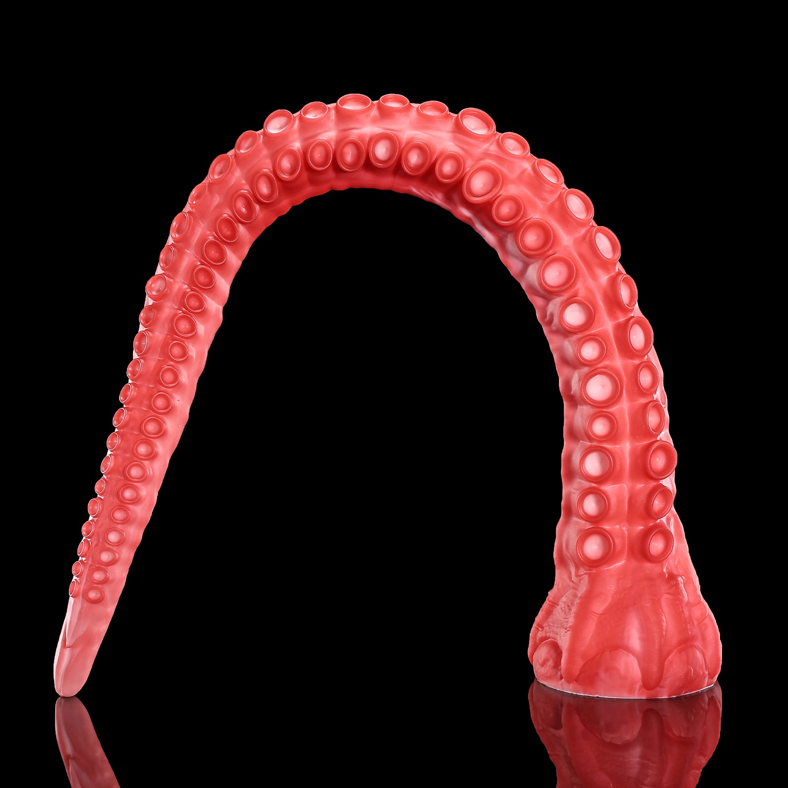 165 【알라】ALLA - L