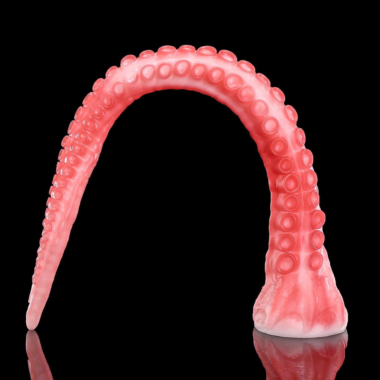 168 【알라】ALLA - XS