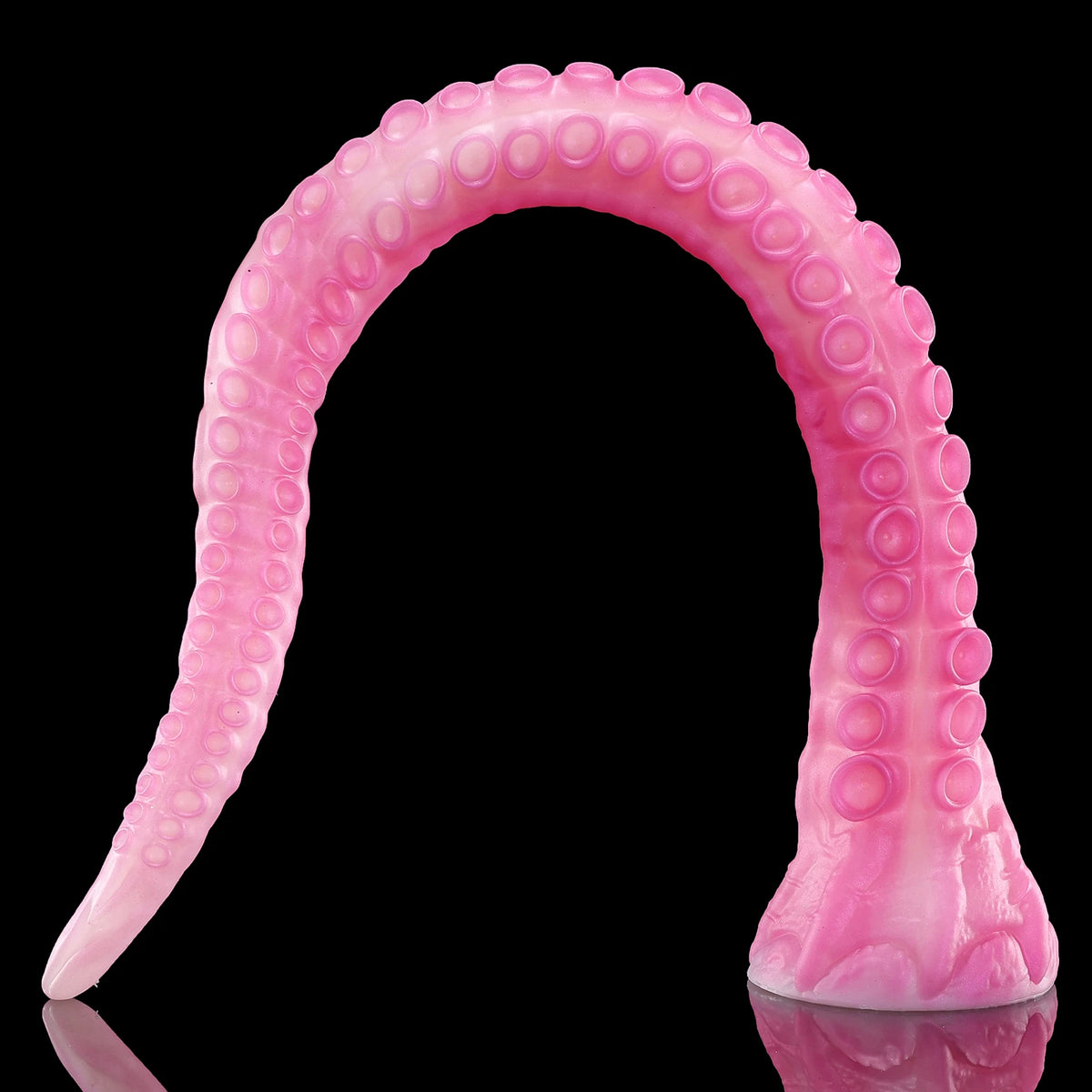 350 【알라】ALLA - S