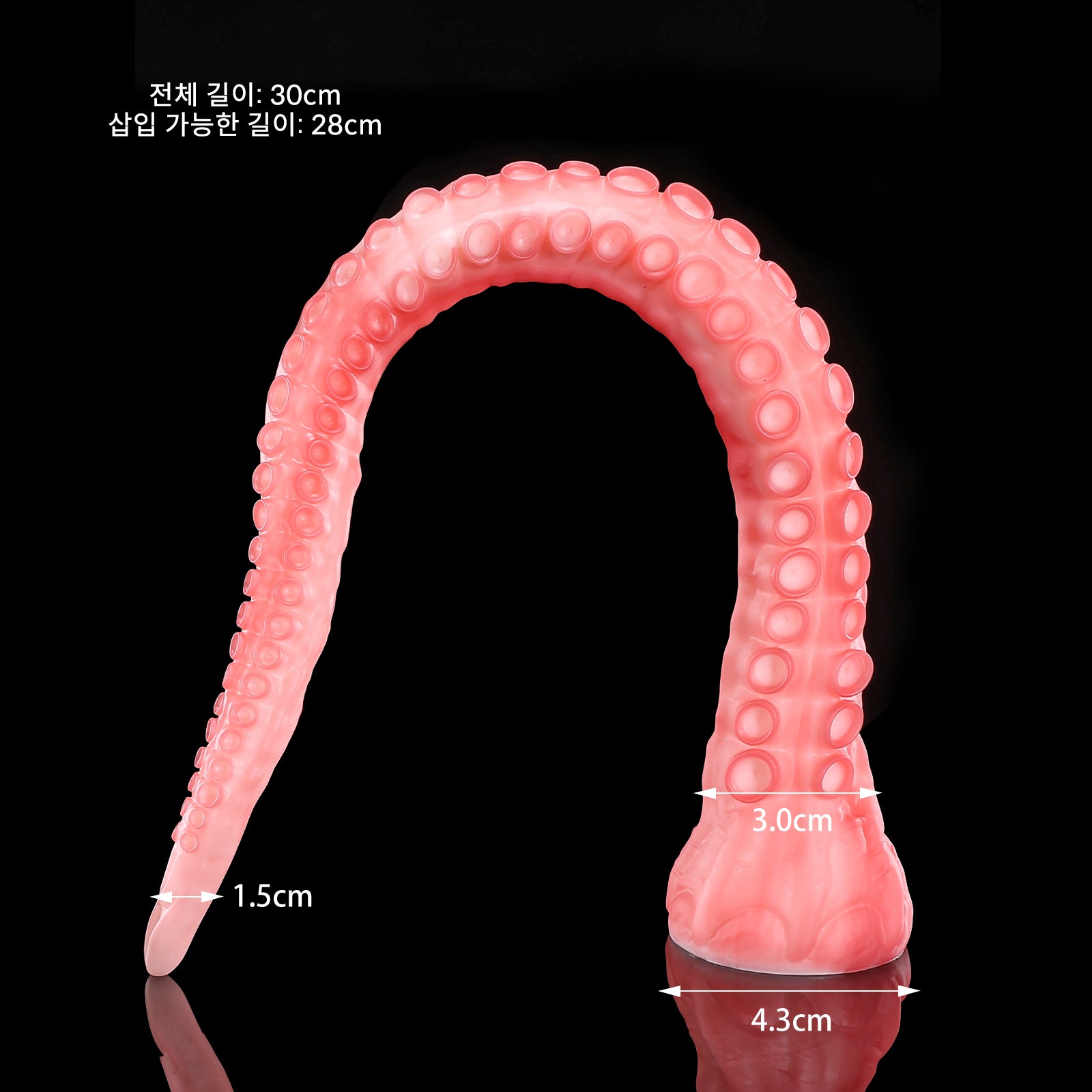 227【알라】ALLA-XS