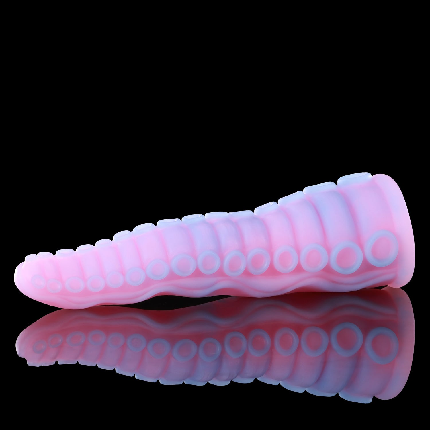 【알라의 핑거】ALLA'S TENTACLE 핑커돔