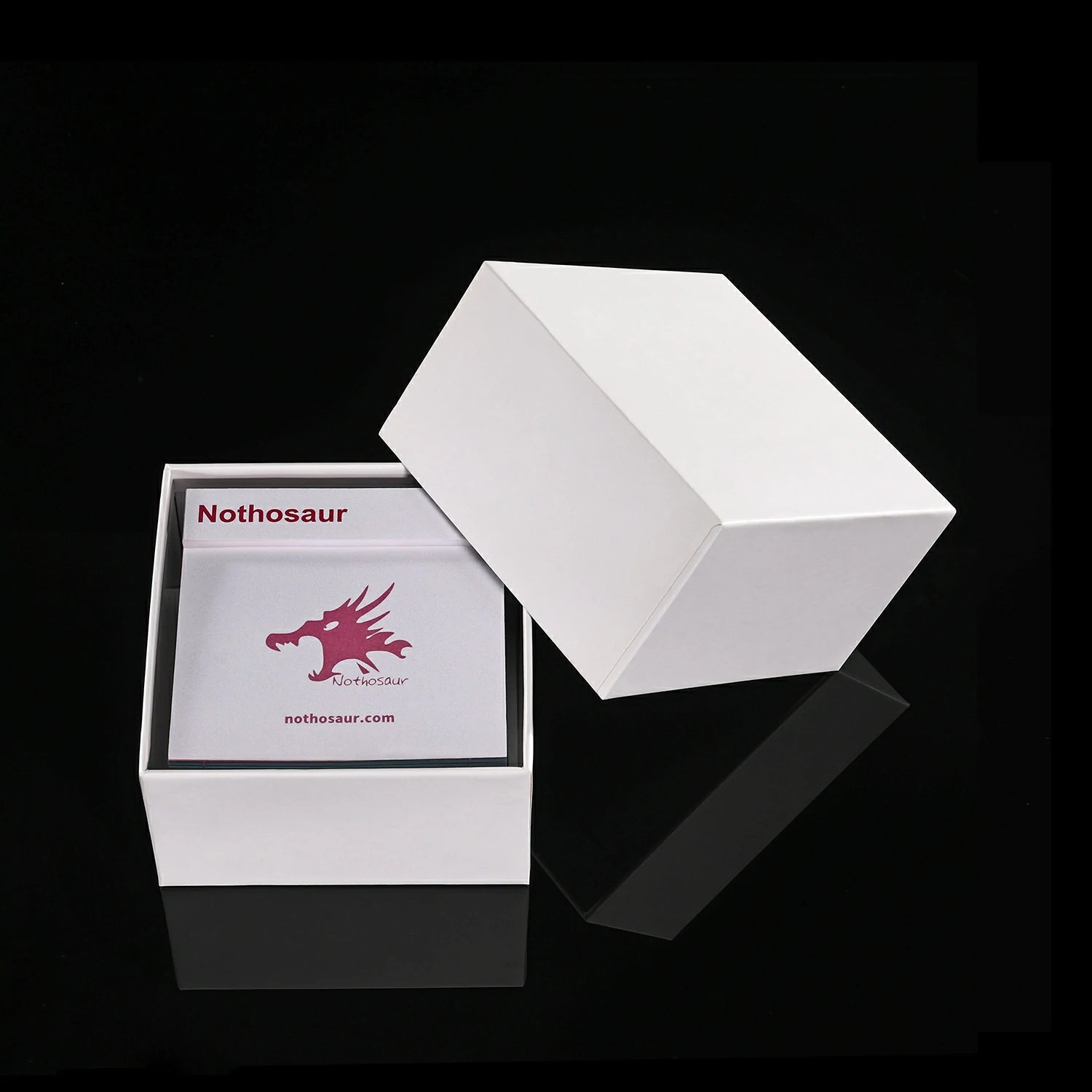 Nothosaur Paper Sculpture Calendar (2).webp