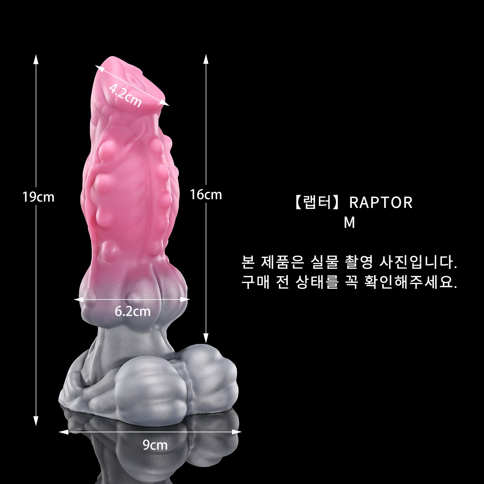 125 【랩터】RAPTOR - M